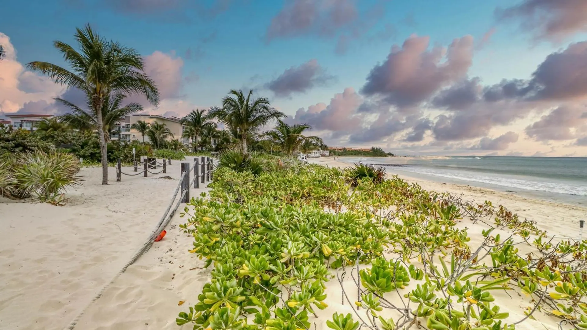 Casa Altamar Penthouse Oceanfront 123 Norte @ Mareazul Beachfront Appartement Playa del Carmen